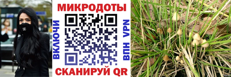 Псилоцибиновые грибы Cubensis  Циолковский 